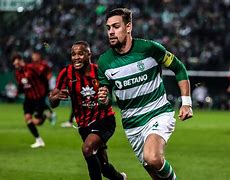 开云体育中国 -包含赛地聚焦——葡超转会期热度飙升，明尼苏达森林狼门线救险，话题不断，高层口径保持一致的词条